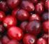 Cranberry y cistitis